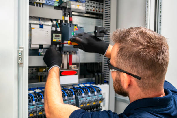 Best Electric Panel Repair  in Chaffee, MO