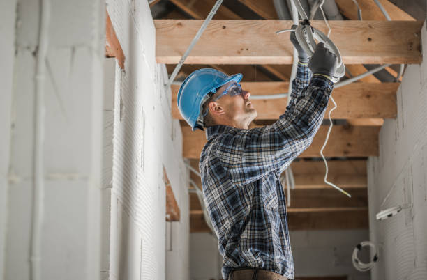 Best Ceiling Fan Installation Electrician  in Chaffee, MO